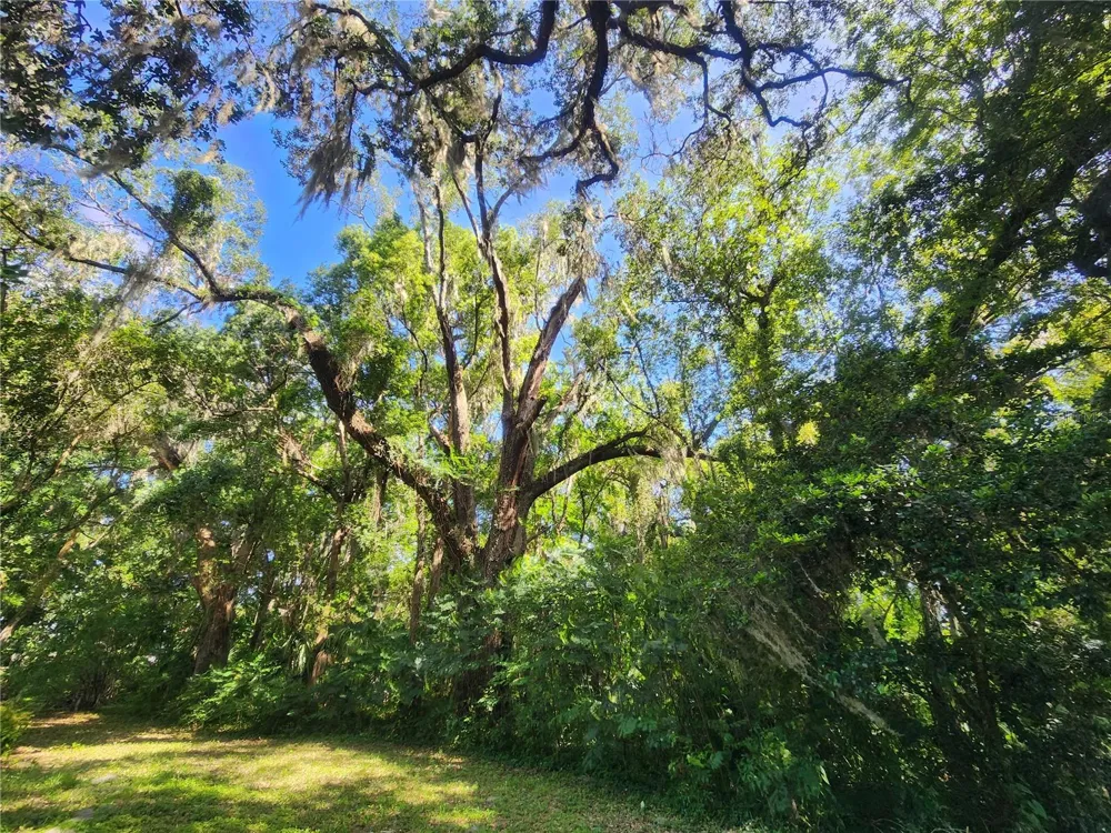 1985 NE 97TH STREED ROAD Anthony, FL 32617