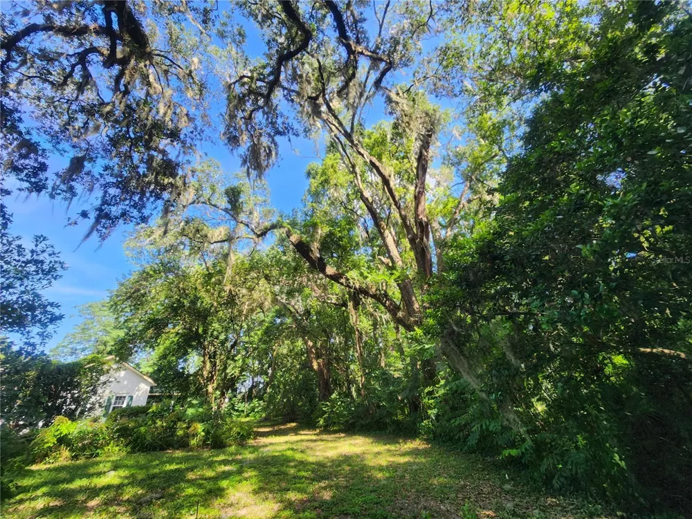 1985 NE 97TH STREED ROAD Anthony, FL 32617