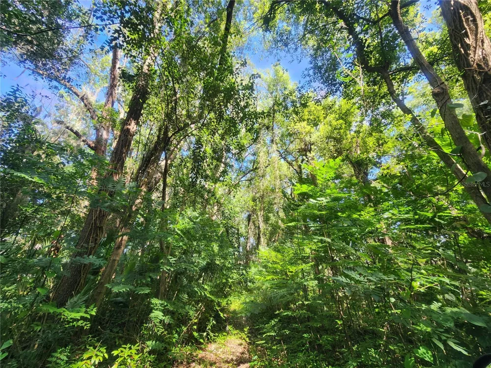 1985 NE 97TH STREED ROAD Anthony, FL 32617