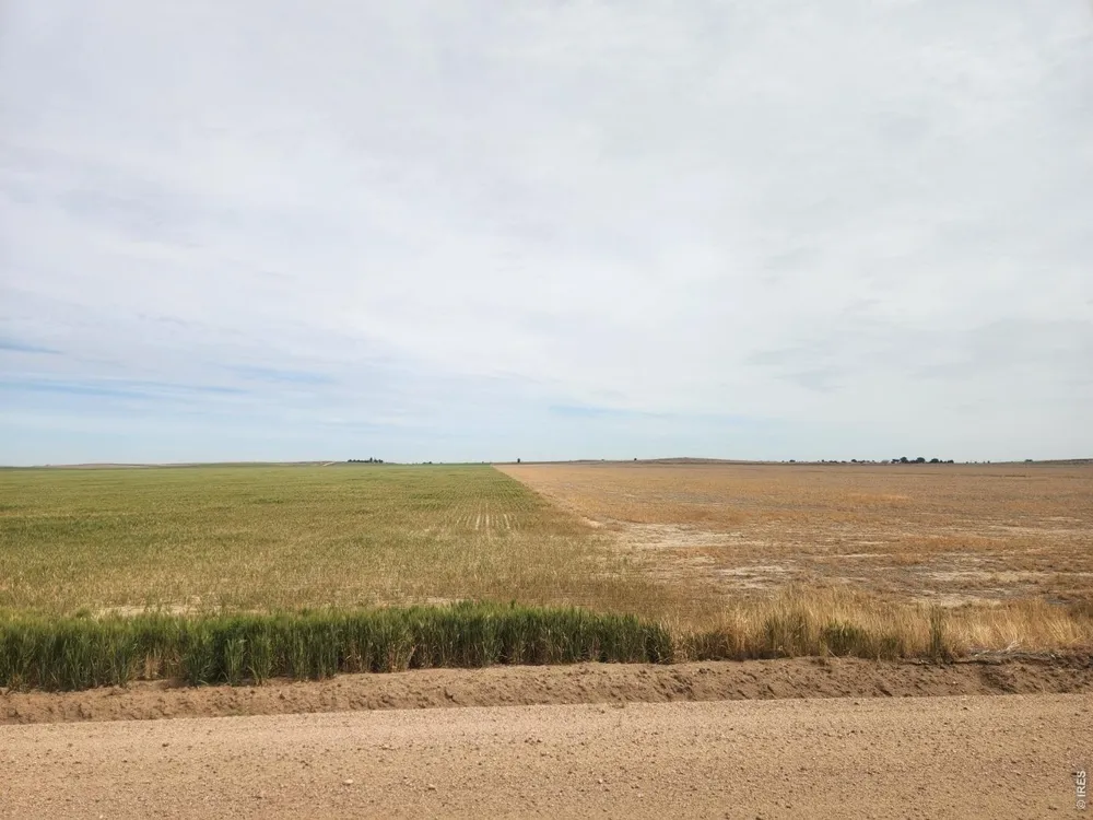 0 TBD Wiggins, CO 80654