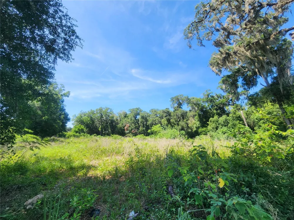 TBD 97TH STREET ROAD Anthony, FL 32617