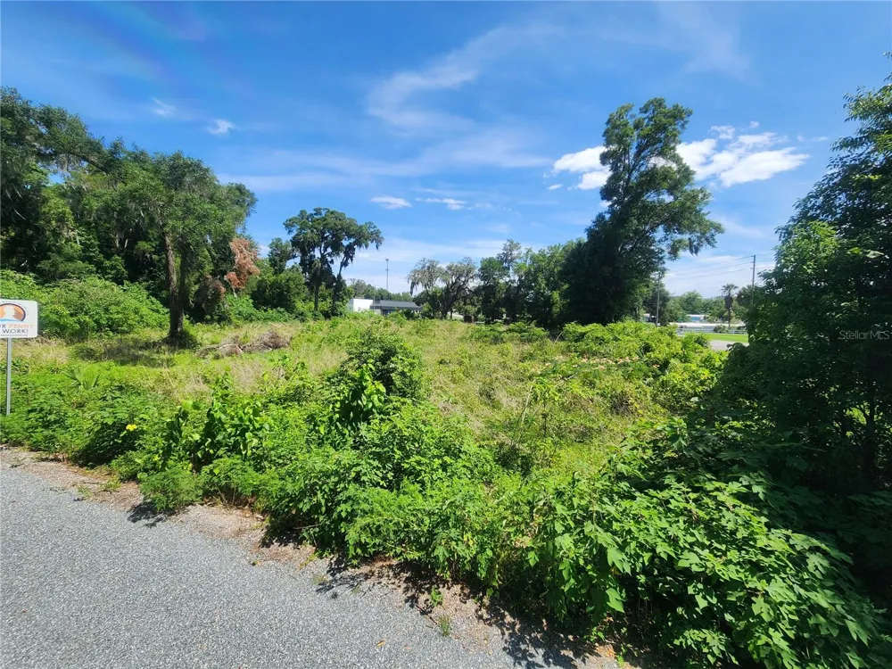 TBD 97TH STREET ROAD Anthony, FL 32617