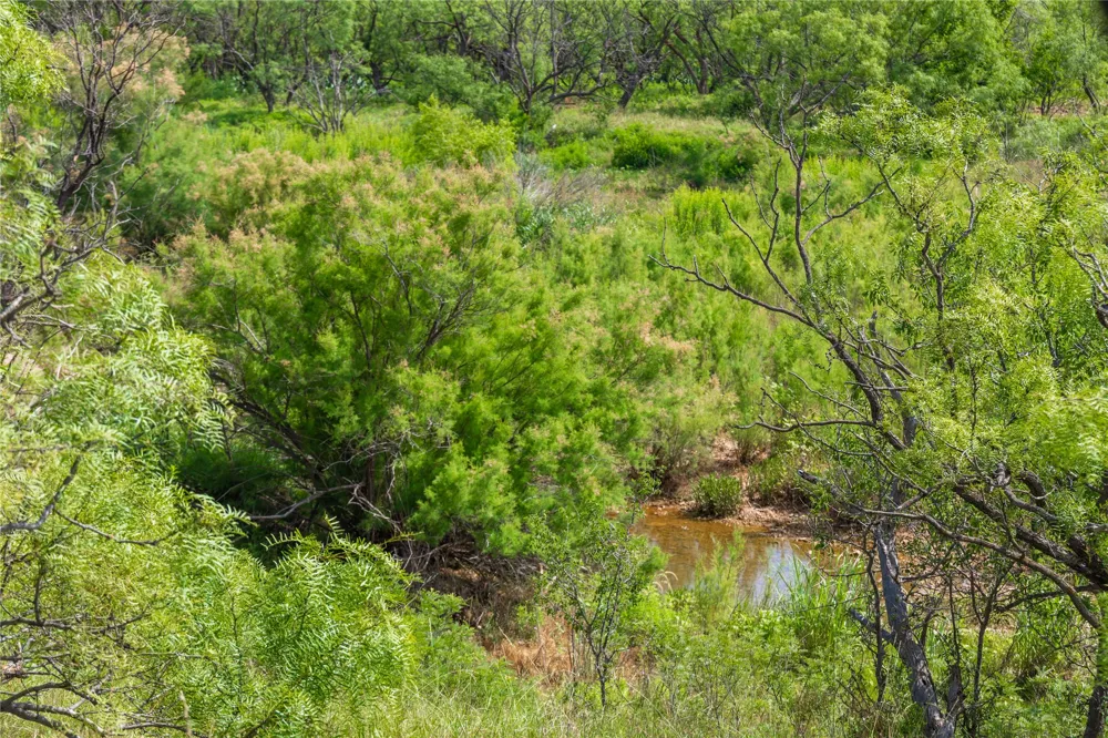 9999 CR 296 Ballinger, TX 76821