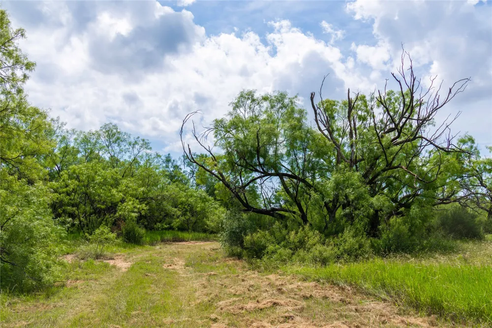 9999 CR 296 Ballinger, TX 76821