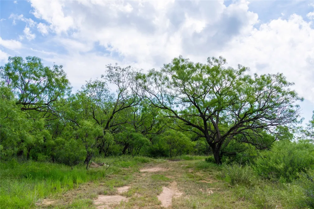 9999 CR 296 Ballinger, TX 76821