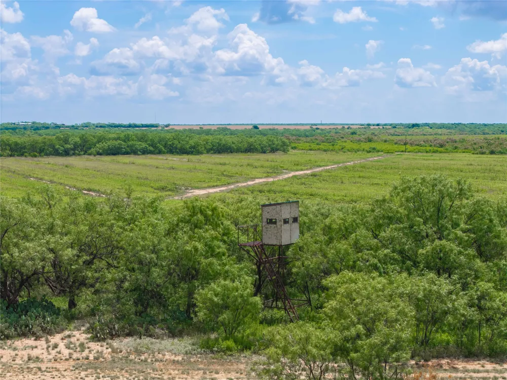 9999 CR 296 Ballinger, TX 76821
