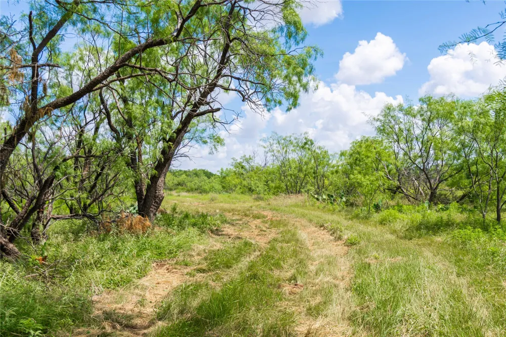 9999 CR 296 Ballinger, TX 76821