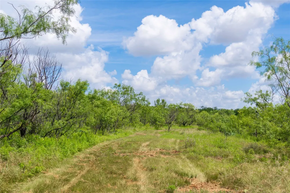 9999 CR 296 Ballinger, TX 76821