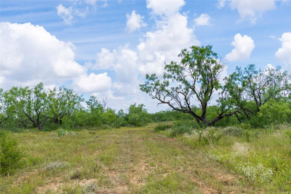 9999 CR 296 Ballinger, TX 76821