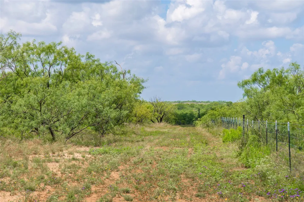 9999 CR 296 Ballinger, TX 76821