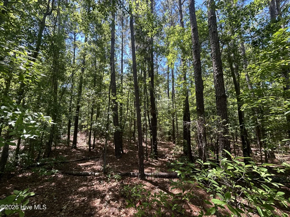 13737 James B White Highway S Tabor City, NC 28463