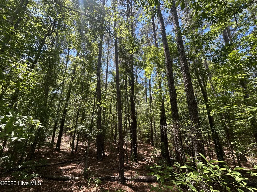 13737 James B White Highway S Tabor City, NC 28463