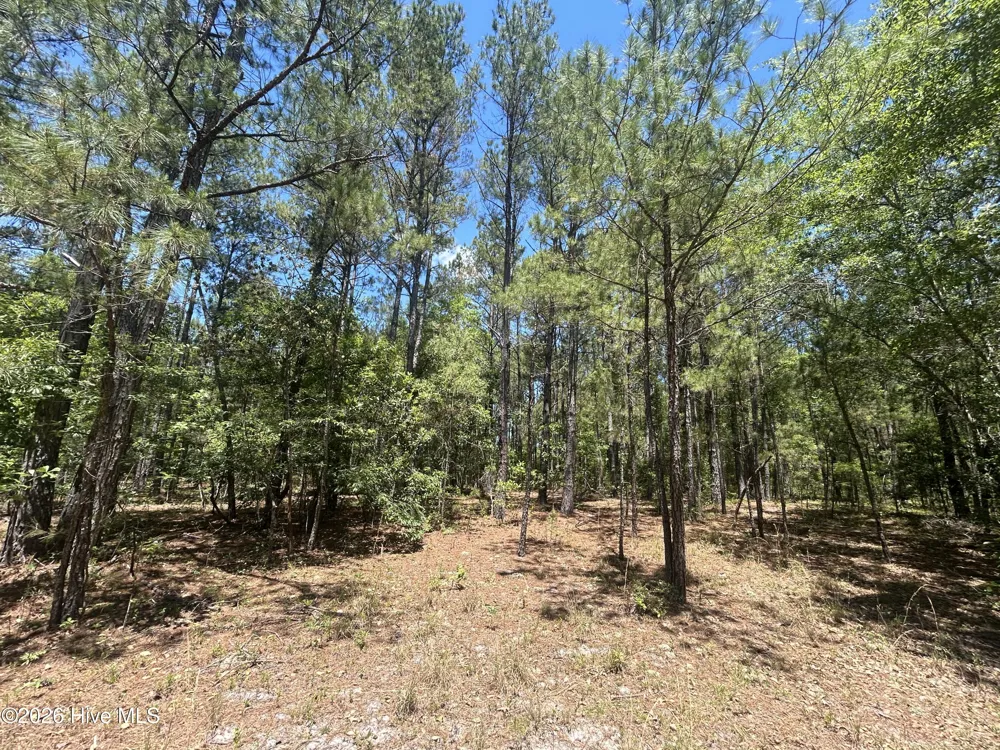 13737 James B White Highway S Tabor City, NC 28463