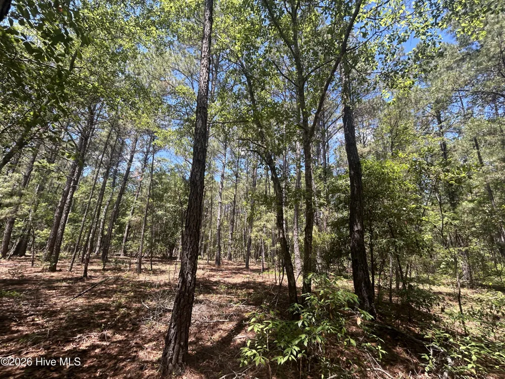 13737 James B White Highway S Tabor City, NC 28463