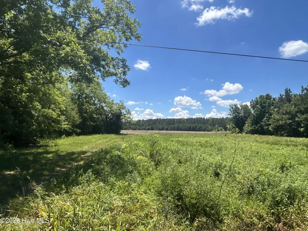 13737 James B White Highway S Tabor City, NC 28463