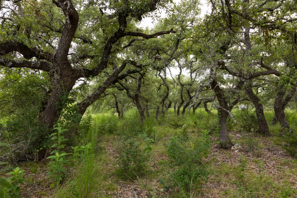 3149 Byrd Ranch Road Johnson City, TX 78636