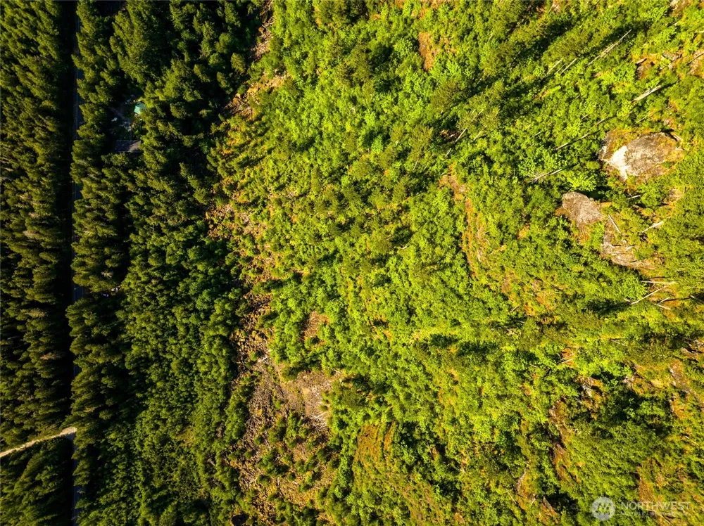 59456 Rockport Cascade Road Marblemount, WA 98267