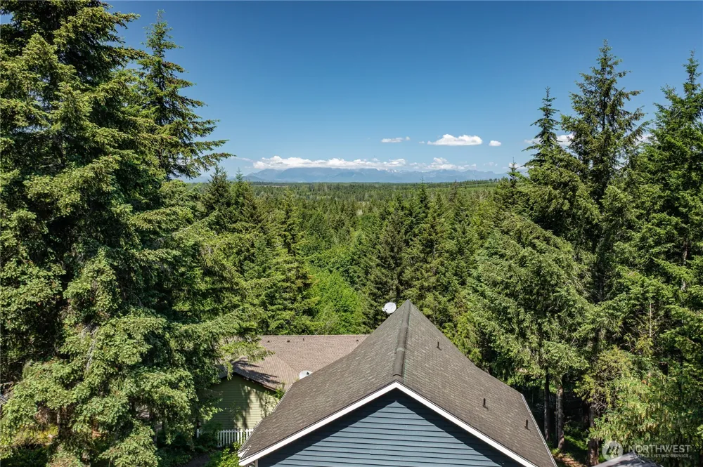 110 E Glacier Crest Road Grapeview, WA 98546