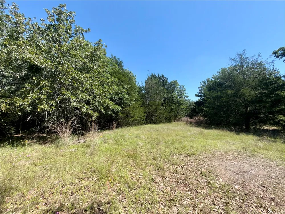 545 Cranberry Road Somerville, TX 77879
