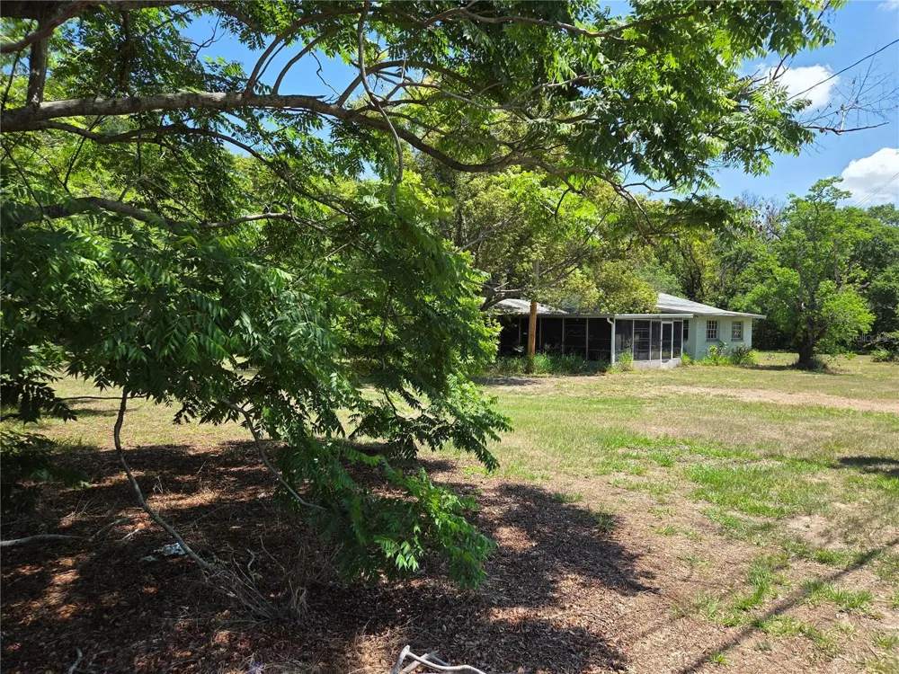 3810 E LUMSDEN ROAD Valrico, FL 33594