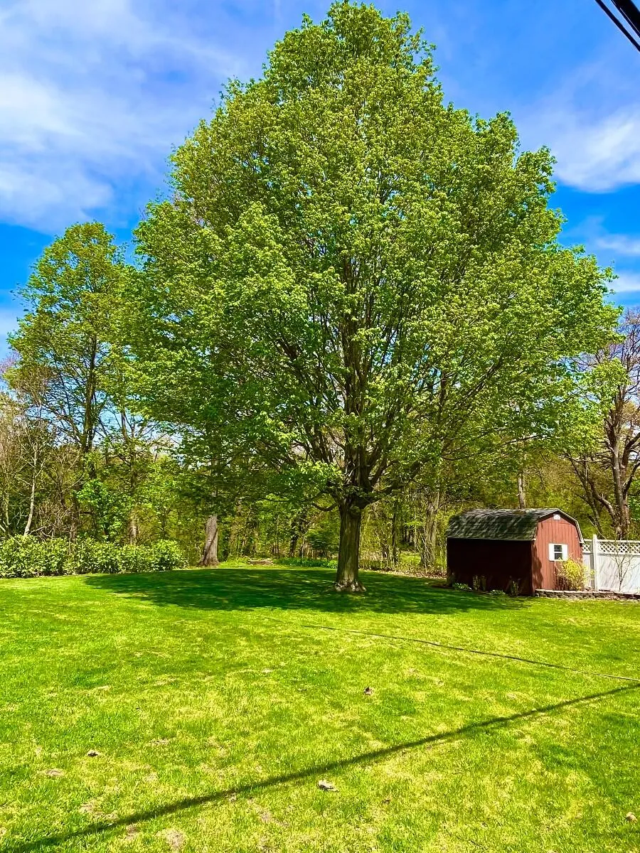 920 E Cleveland Avenue Hobart, IN 46342