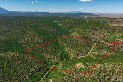 Tollerburg Road