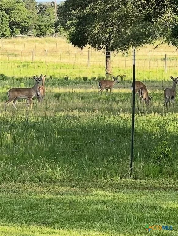 1102 Private Road 2332 Giddings, TX 78942