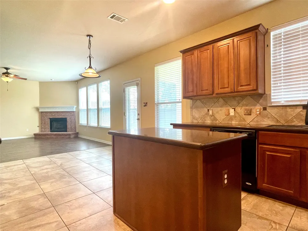20625 Farm Pond Lane Pflugerville, TX 78660