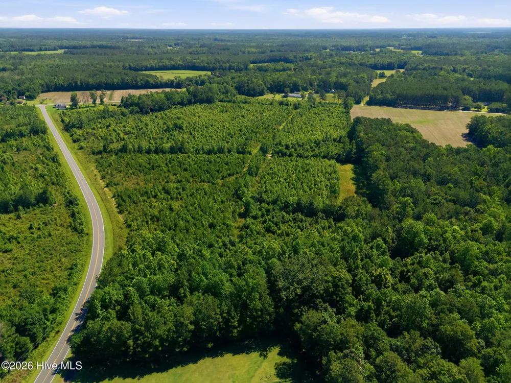 150 Furnie Hammond Road Clarendon, NC 28432