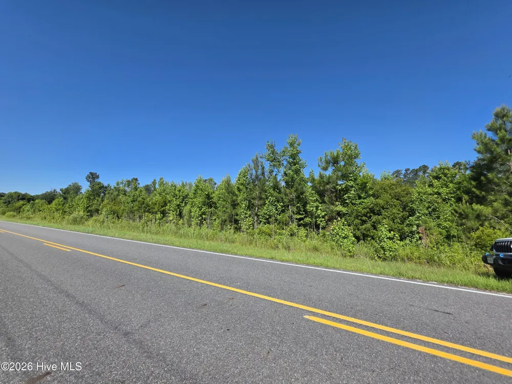 150 Furnie Hammond Road Clarendon, NC 28432