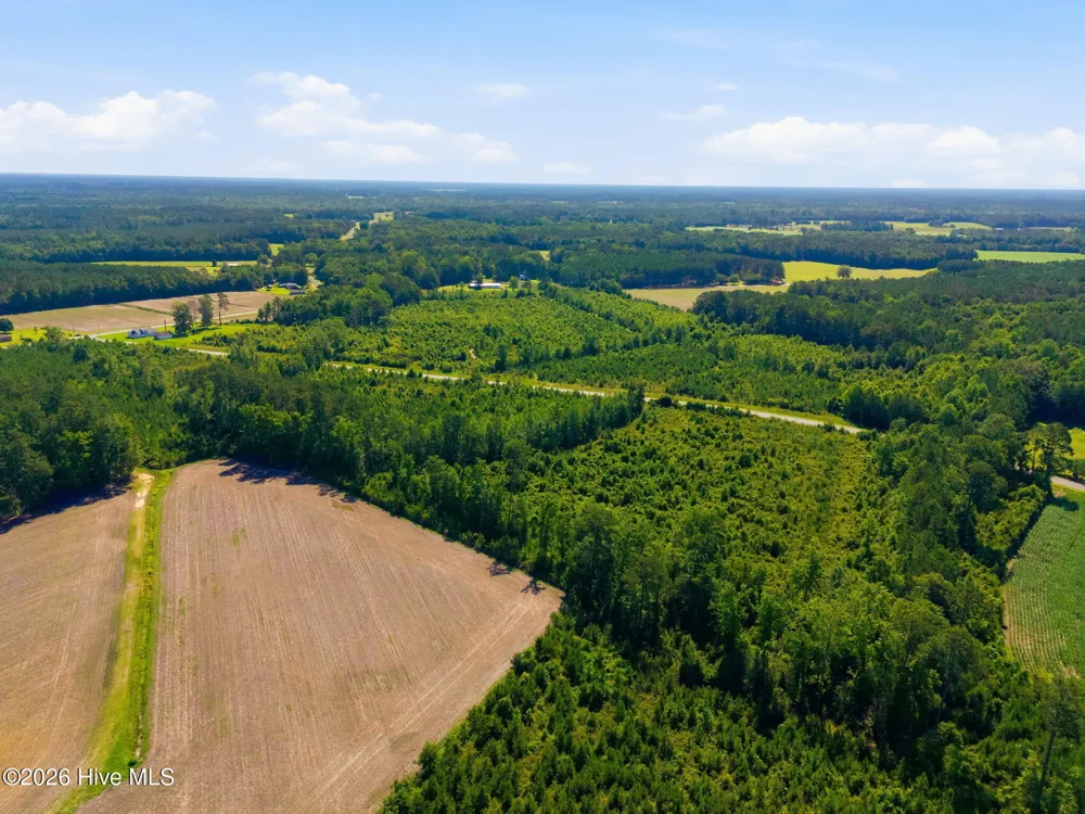 150 Furnie Hammond Road Clarendon, NC 28432