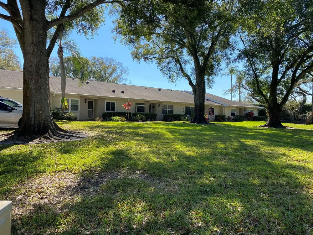 1059 DUNROBIN DRIVE #B Palm Harbor, FL 34684