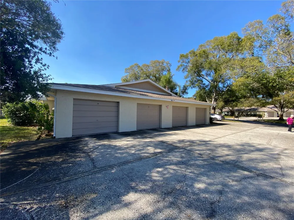 1059 DUNROBIN DRIVE #B Palm Harbor, FL 34684