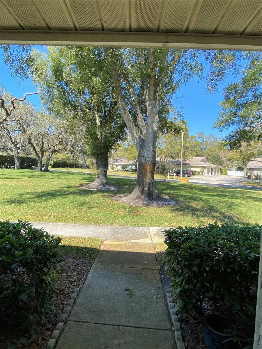 1059 DUNROBIN DRIVE #B Palm Harbor, FL 34684