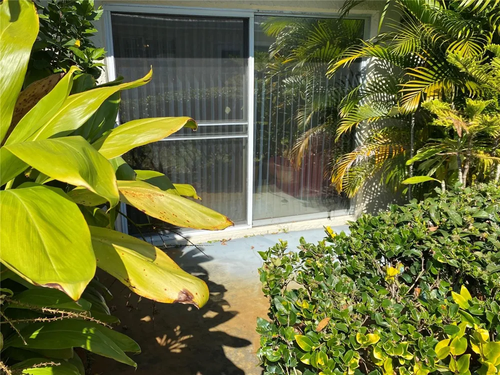 1059 DUNROBIN DRIVE #B Palm Harbor, FL 34684