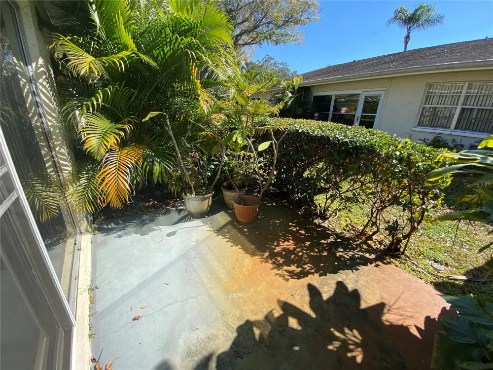 1059 DUNROBIN DRIVE #B Palm Harbor, FL 34684
