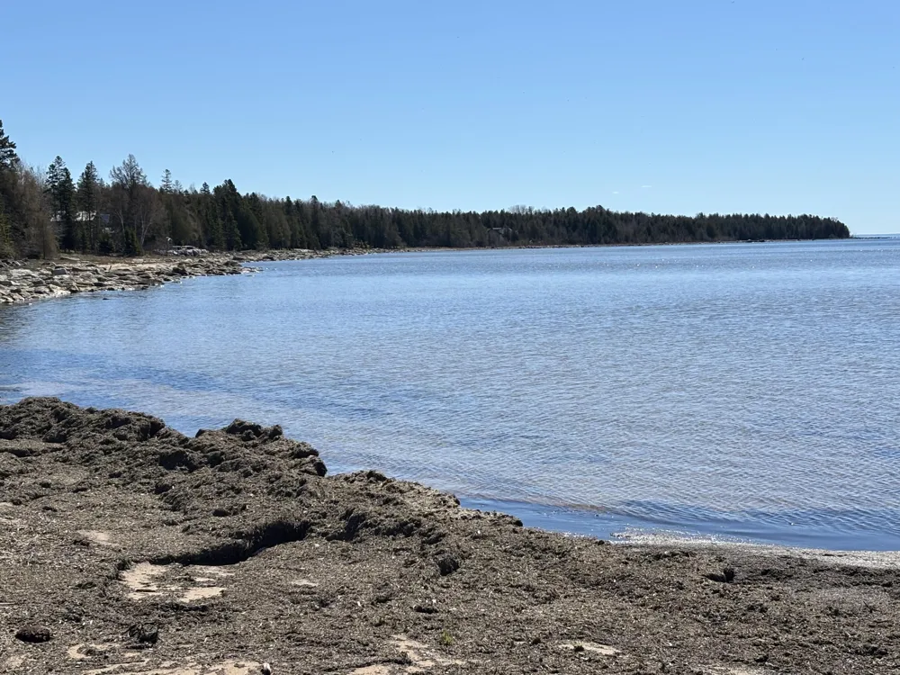 11983 Middle Beach Road Garfield Township, MI 49762