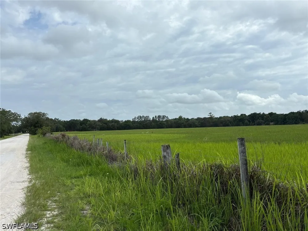 BENES ROUSH ROAD Brooksville, FL 39604