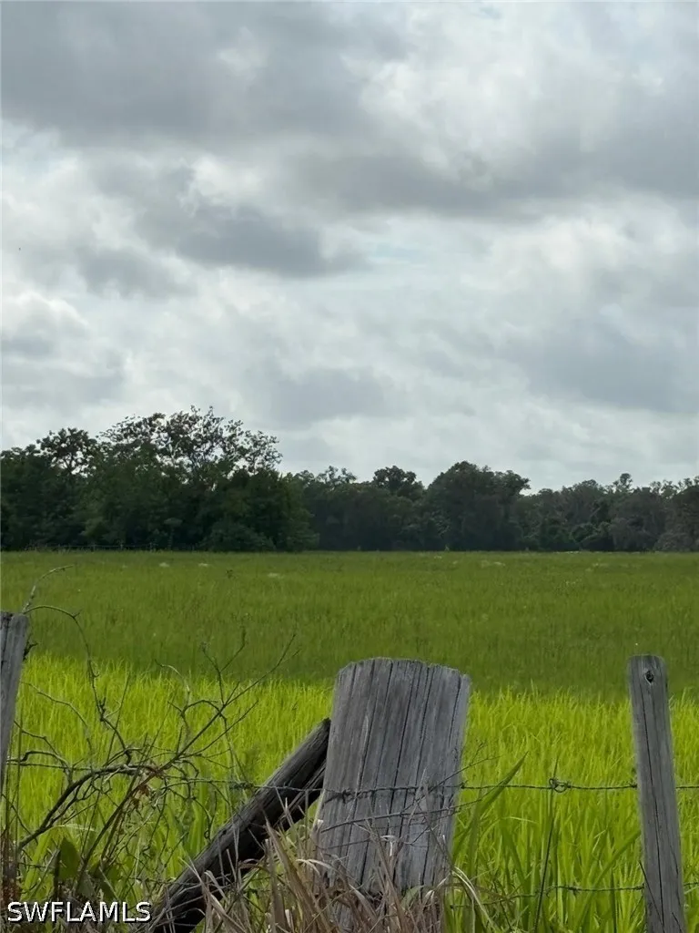BENES ROUSH ROAD Brooksville, FL 39604