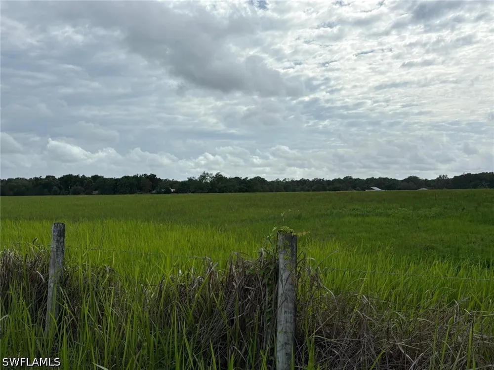 BENES ROUSH ROAD Brooksville, FL 39604