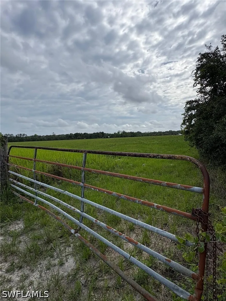 BENES ROUSH ROAD Brooksville, FL 39604