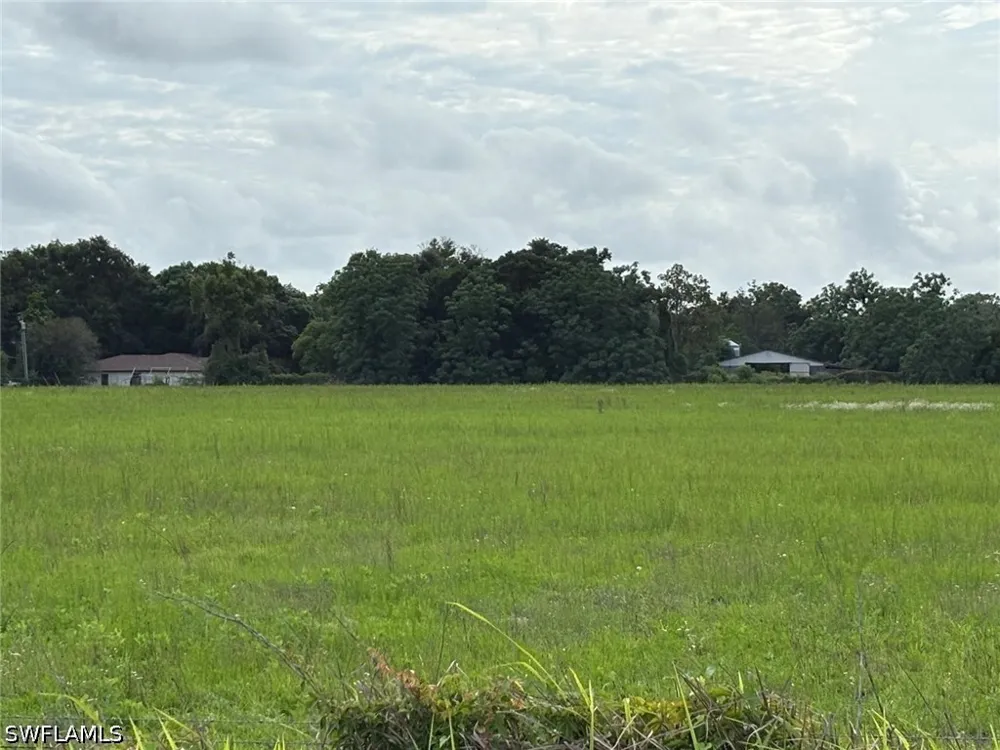 BENES ROUSH ROAD Brooksville, FL 39604
