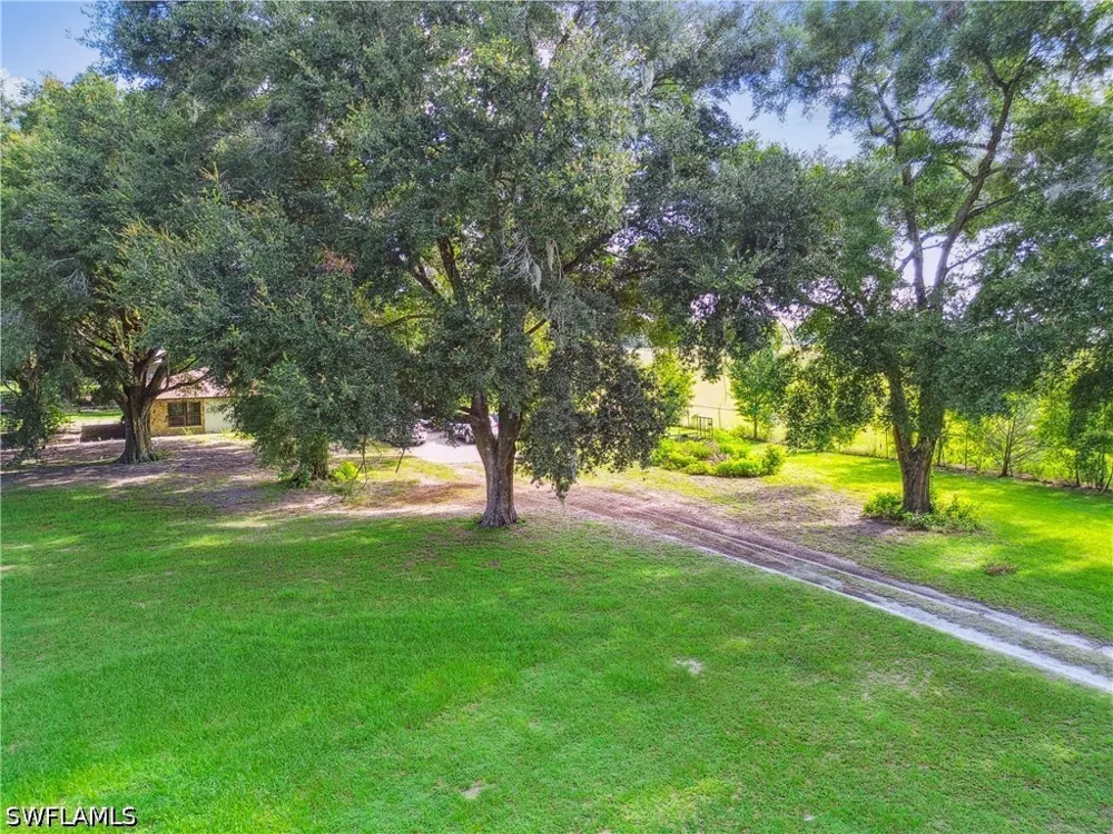 BENES ROUSH ROAD Brooksville, FL 39604