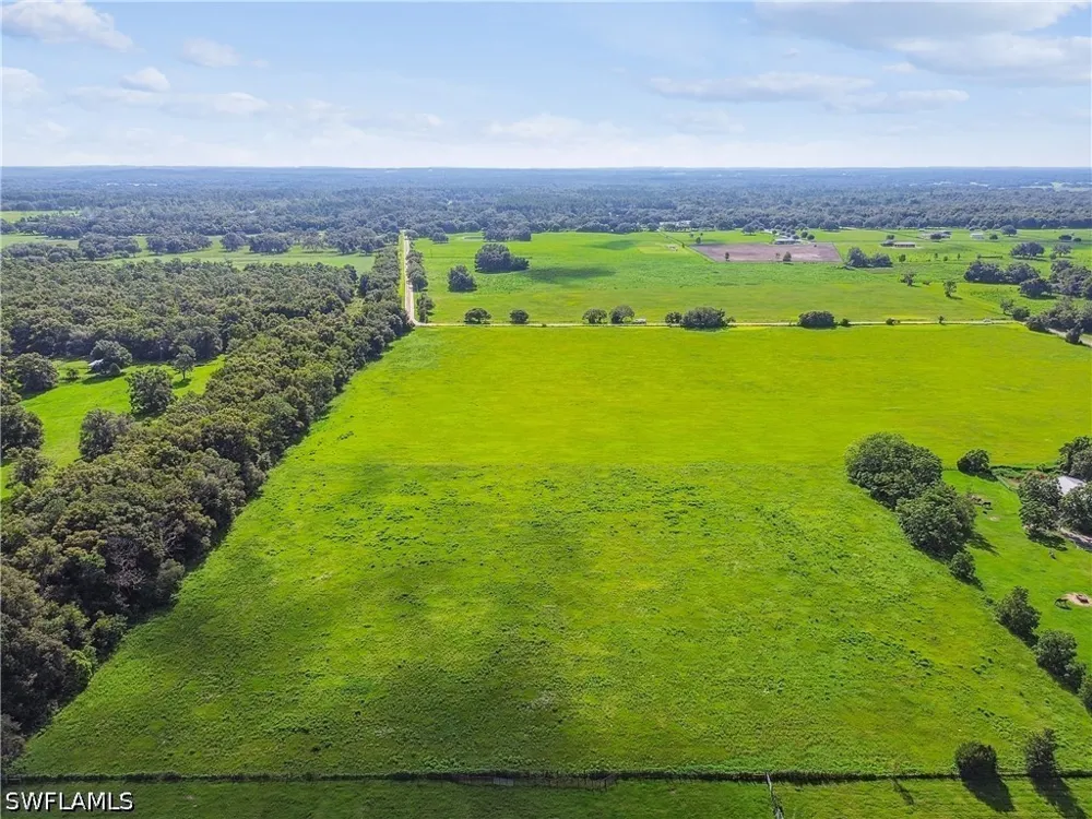 BENES ROUSH ROAD Brooksville, FL 39604