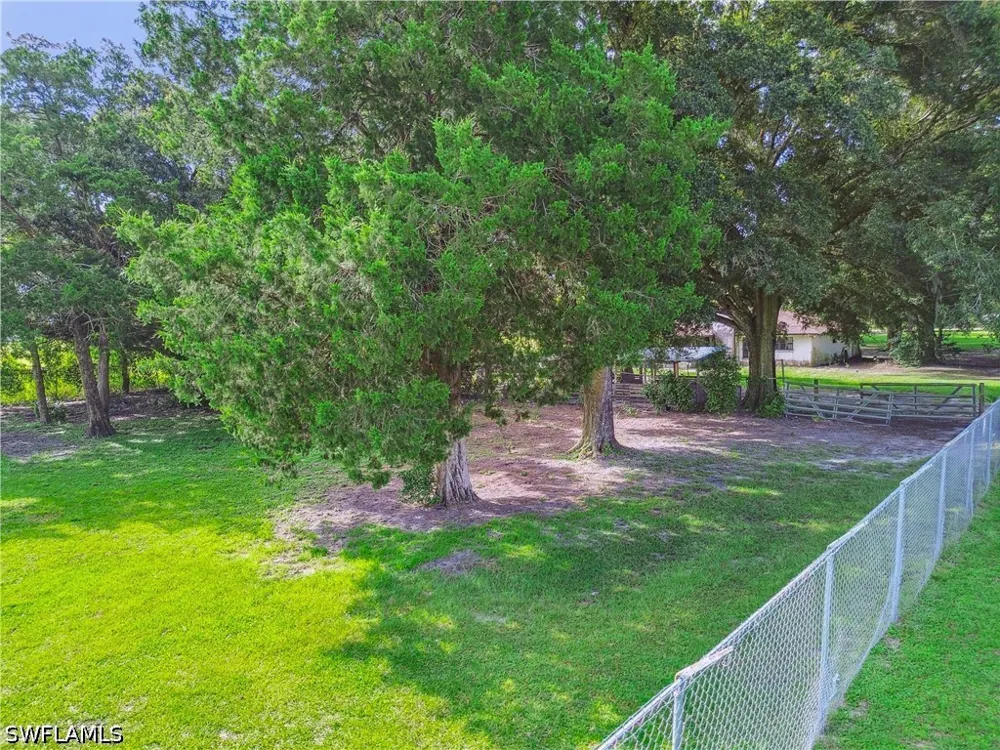 BENES ROUSH ROAD Brooksville, FL 39604