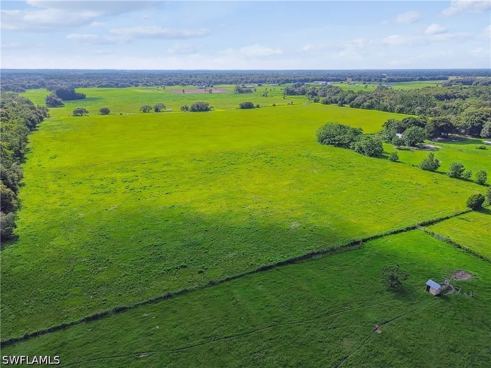 BENES ROUSH ROAD Brooksville, FL 39604