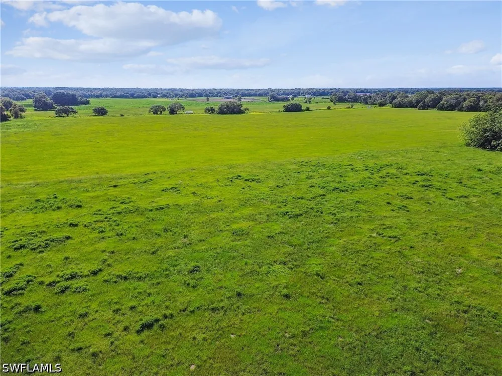 BENES ROUSH ROAD Brooksville, FL 39604