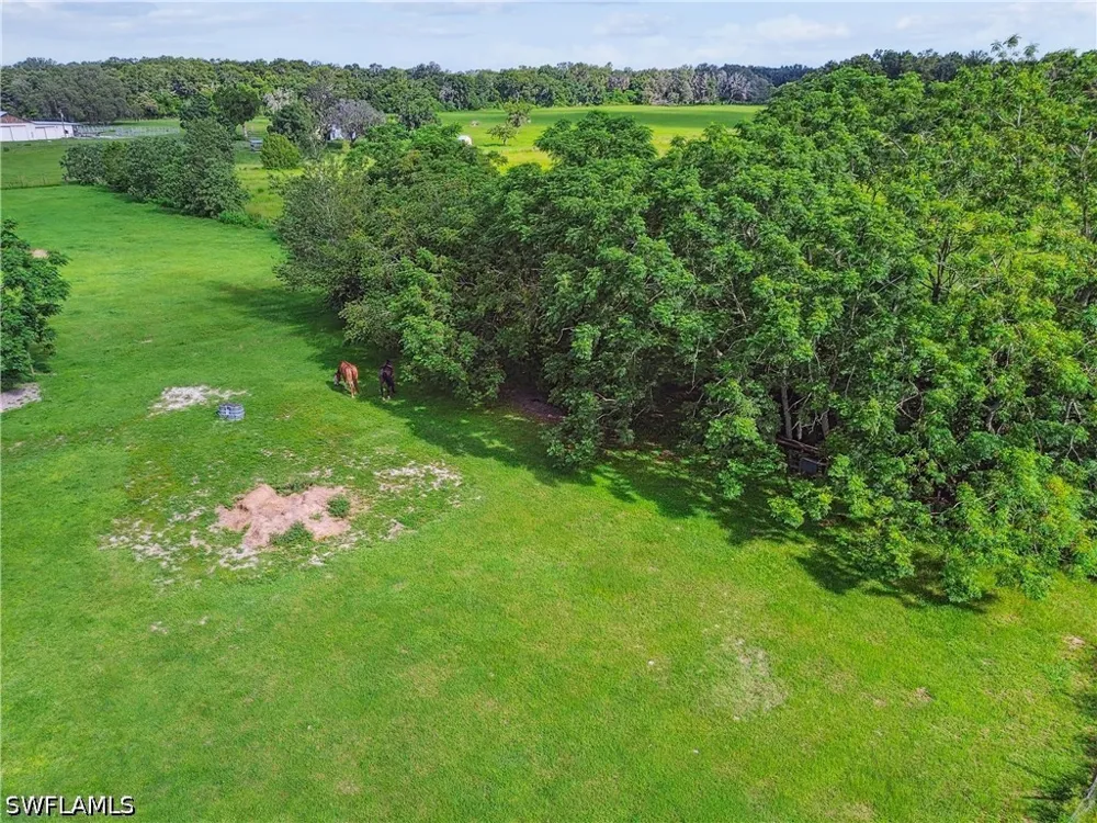 BENES ROUSH ROAD Brooksville, FL 39604