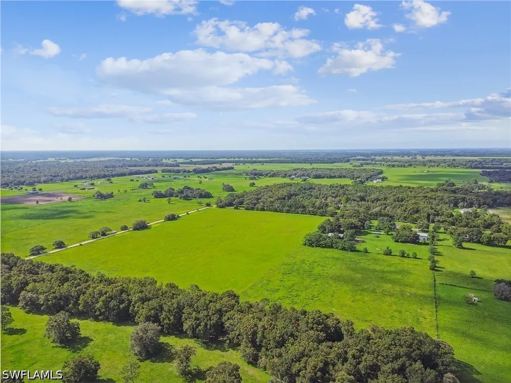 BENES ROUSH ROAD Brooksville, FL 39604