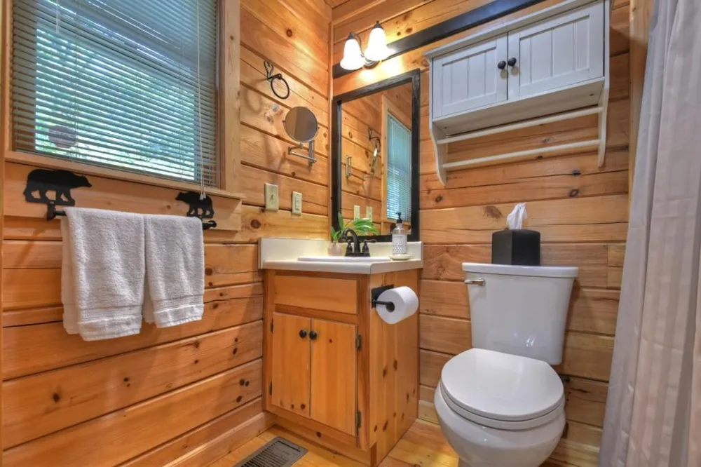 9 Joanna Court Cherry Log, GA 30513